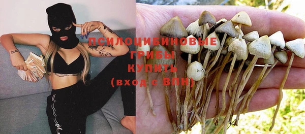 каннабис Богданович