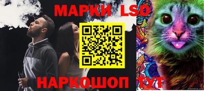 винт Новодвинск