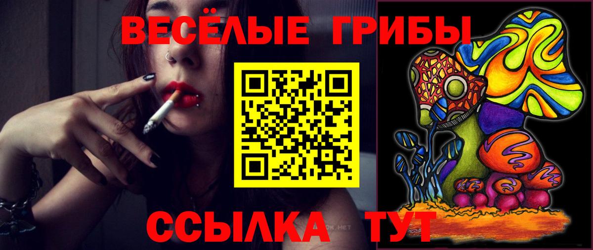 Псилоцибиновые грибы мухоморы Свободный