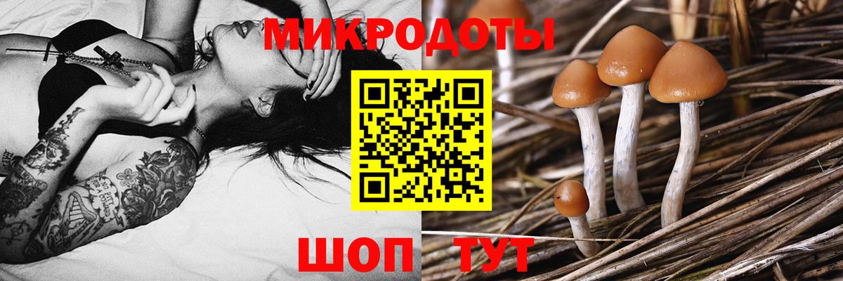 наркота  Вход с VPN  Свободный  Псилоцибиновые грибы Psilocybine cubensis 